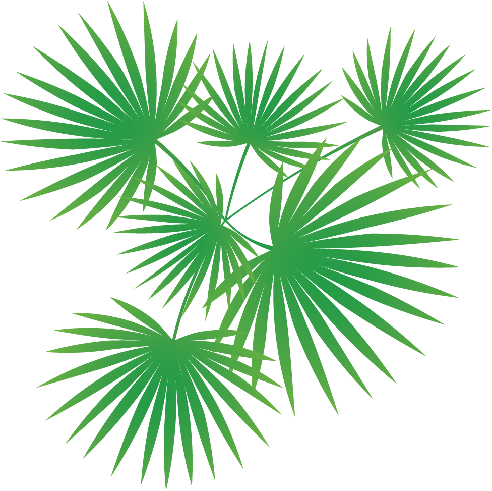 Fireworks Clipart (1000x1000), Png Download