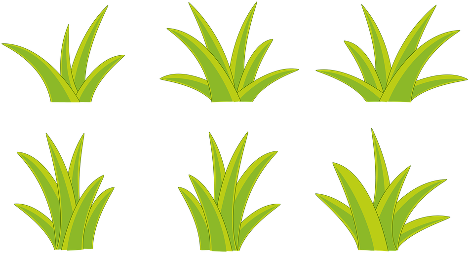 Bushes Clipart Flax - Png Download (960x524), Png Download