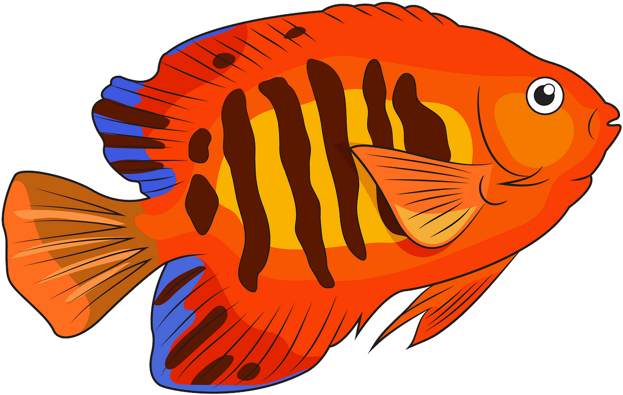 Flame Angelfish Clipart - Angelfish Clipart - Png Download (1280x893), Png Download