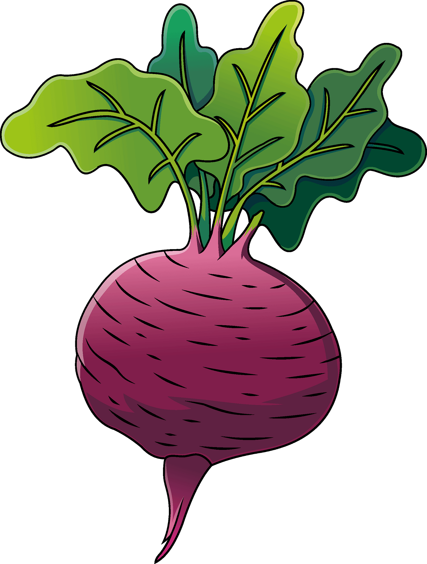 Beet Greens Clipart Full Size Clipart (5618875) PinClipart
