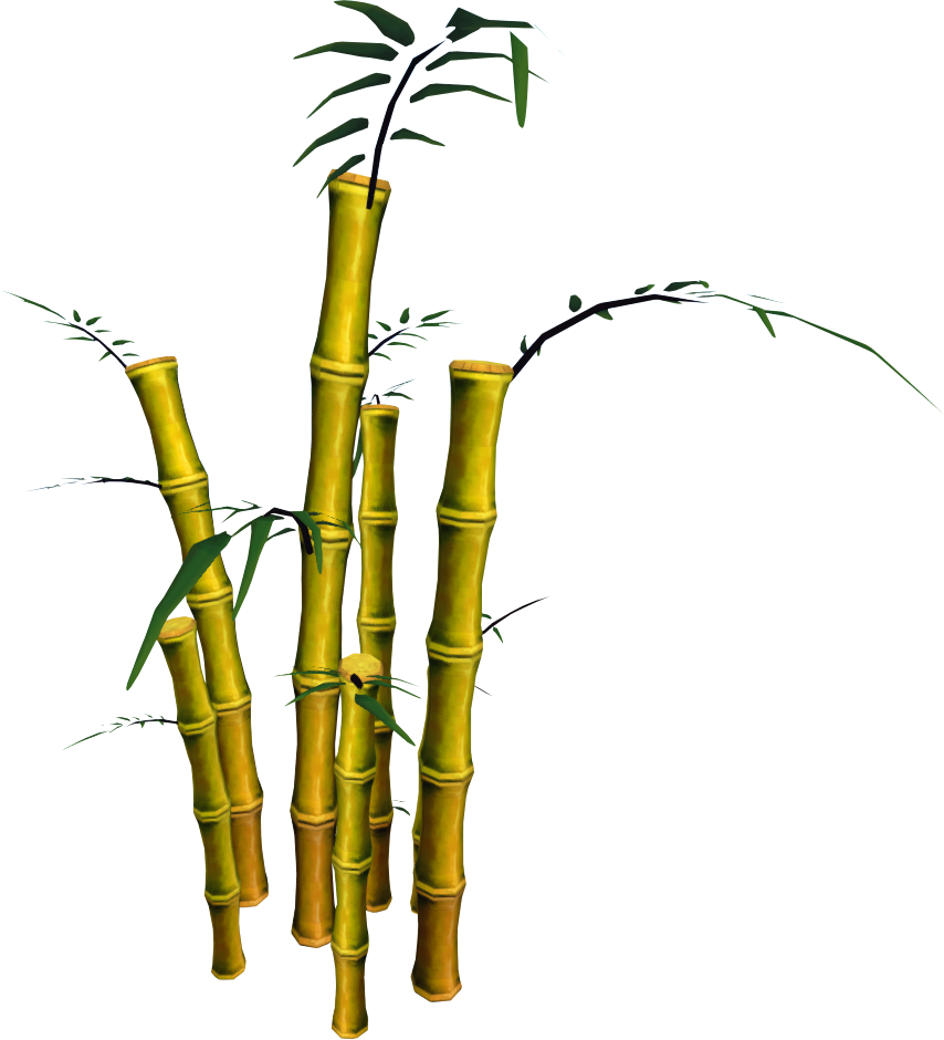 Transparent Bamboo Clipart - Bamboo Pngs (854x940), Png Download