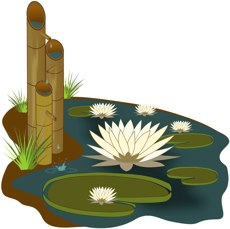 Vitoria Regia Bamboo Clipart - Png Download (800x800), Png Download