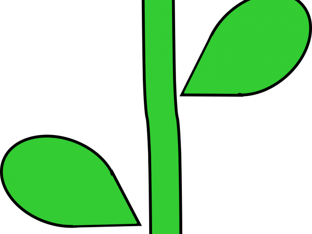 Cartoon Long Stem Flower Clipart (640x480), Png Download