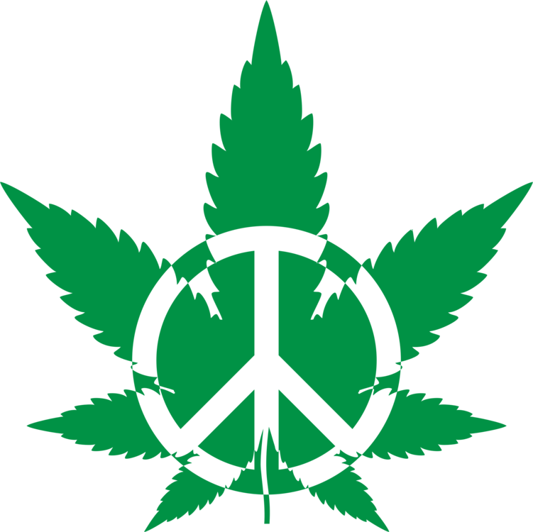 Plant,leaf,hemp Family - Cannabis Png Clipart (751x750), Png Download