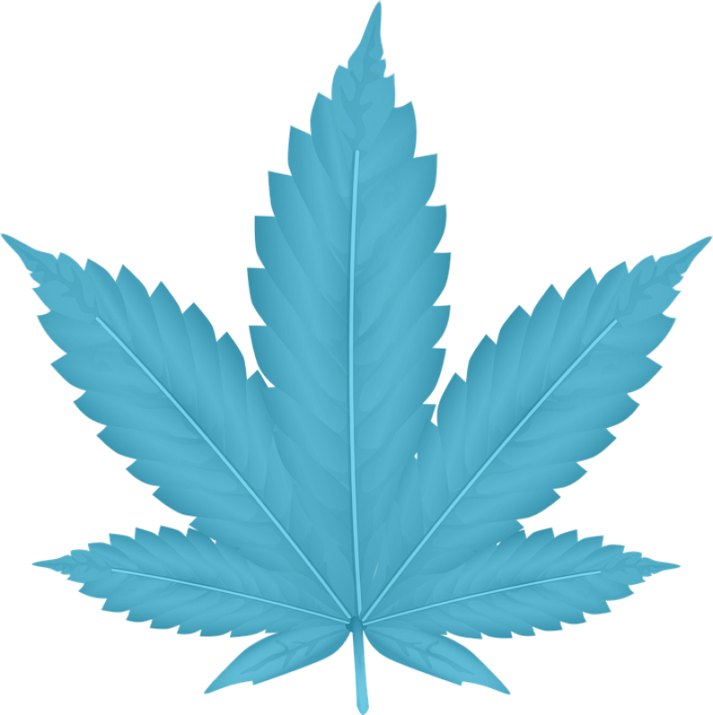 Weed Clipart Png , Png Download - 420 Weed Gang Transparent Png (800x802), Png Download