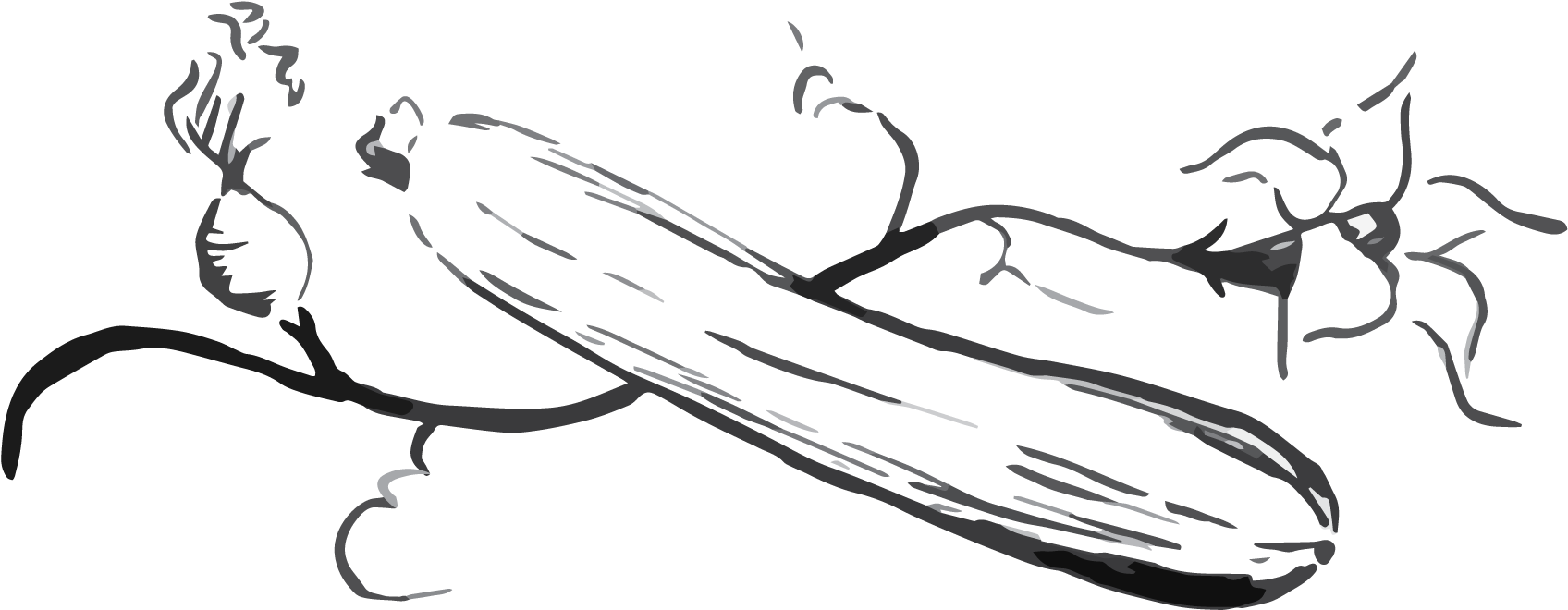 Sketch Clipart (2326x888), Png Download