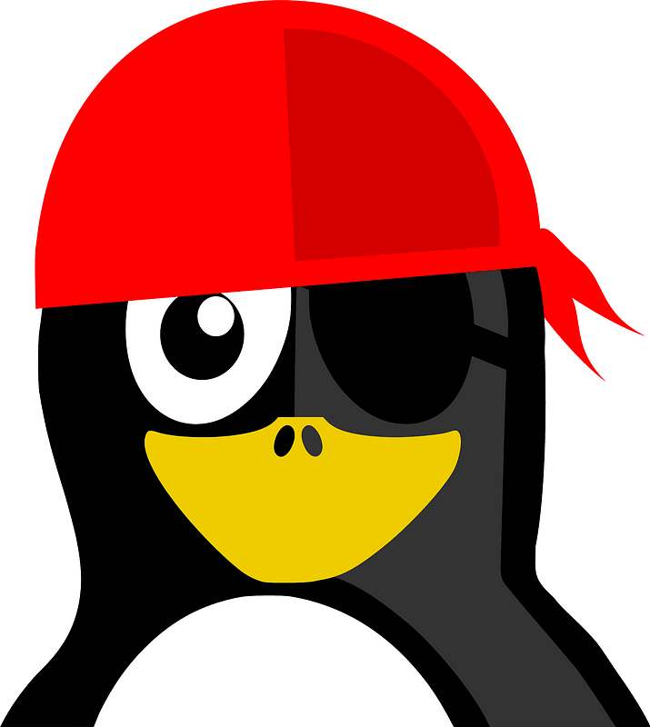 Pirate Penguin Clipart - Penguin Jokes For Kids - Png Download (715x800), Png Download