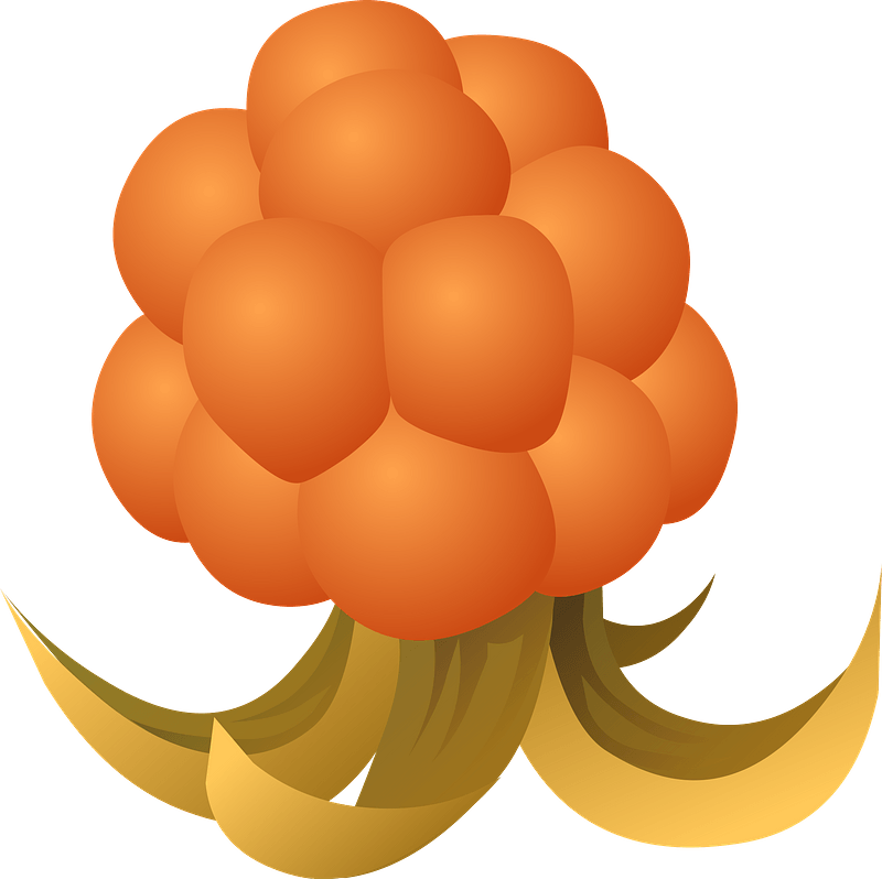 Food Cloudberry Clipart - Cloudberry Clipart - Png Download (800x798), Png Download