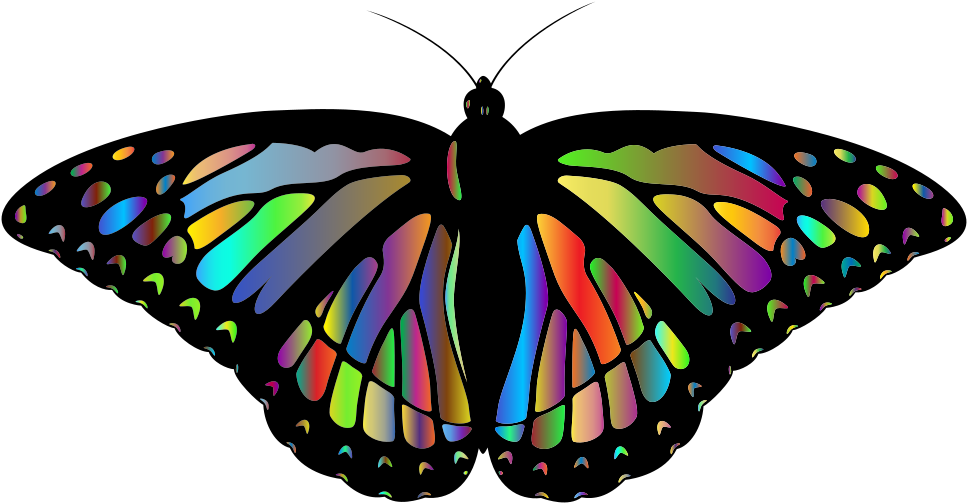 Rainbow Monarch Butterfly Png Clipart (1000x564), Png Download