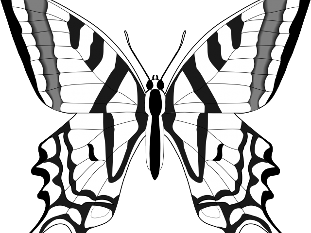 Monarch Butterfly Clipart Outline - Black And White Outline Of Butterfly - Png Download (640x480), Png Download