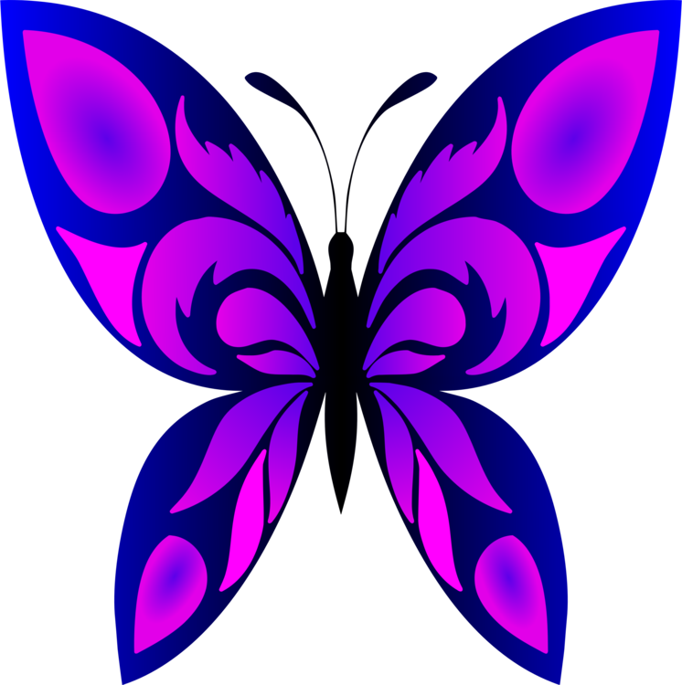 Butterfly And Designs Drawing Clipart (746x750), Png Download