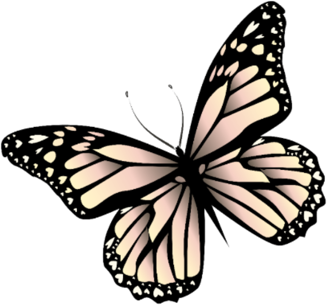 Butterfly Sticker Png PNG Image Collection