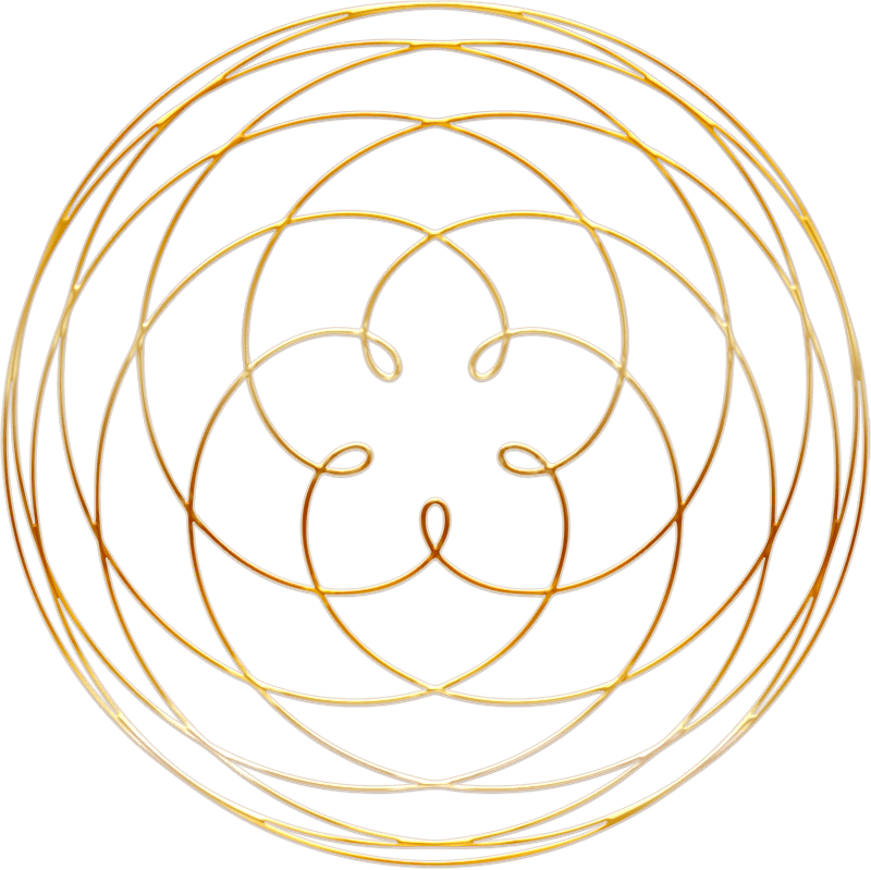 Orbita Di Venere Clipart (800x799), Png Download