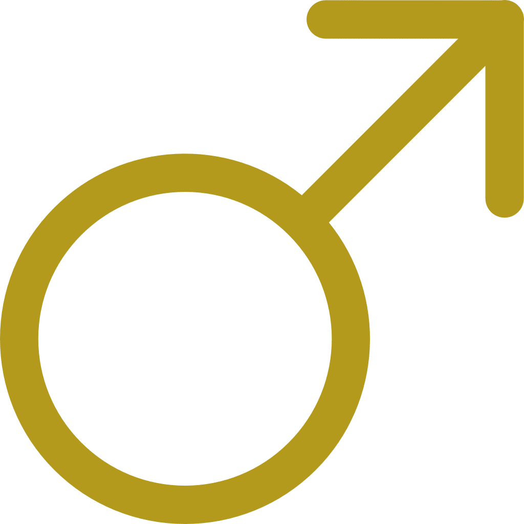 Circle Clipart (1024x1024), Png Download