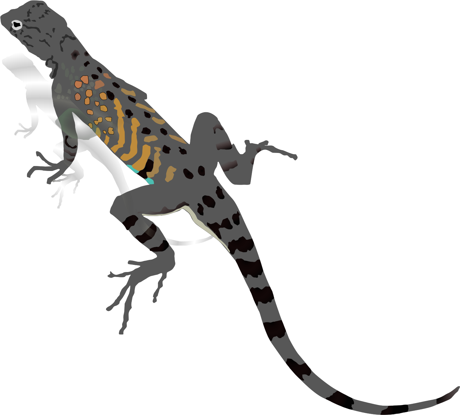 Silhouette Lizard Clip Art - Png Download (1600x1600), Png Download
