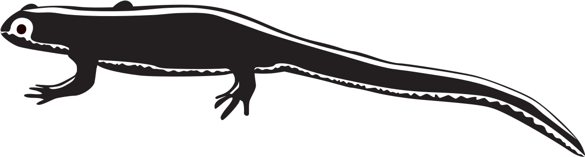Clip Art - Png Download (1200x801), Png Download