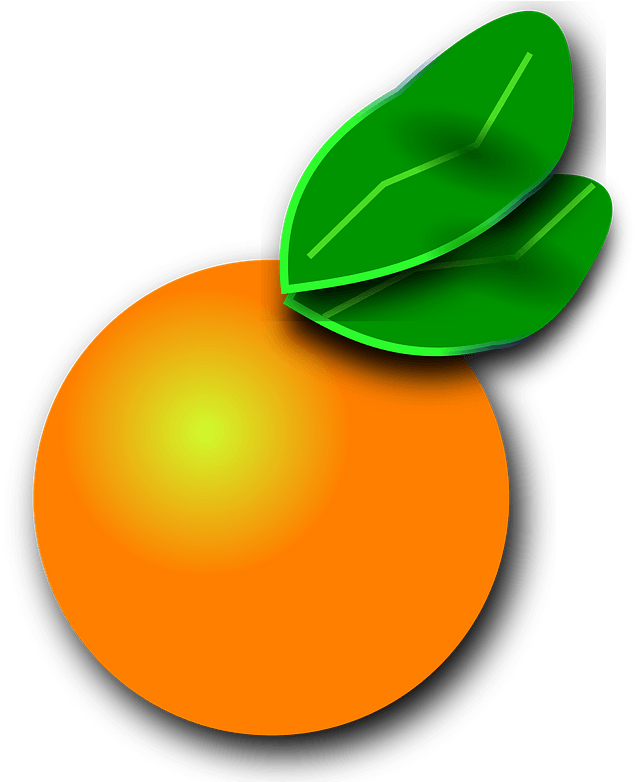 Orange Clipart - Clip Art - Png Download (679x800), Png Download