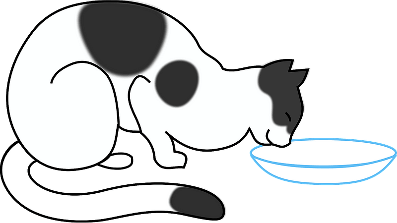 White Cat Drinking Clipart - Cat Drinking Milk Clipart - Png Download (800x450), Png Download