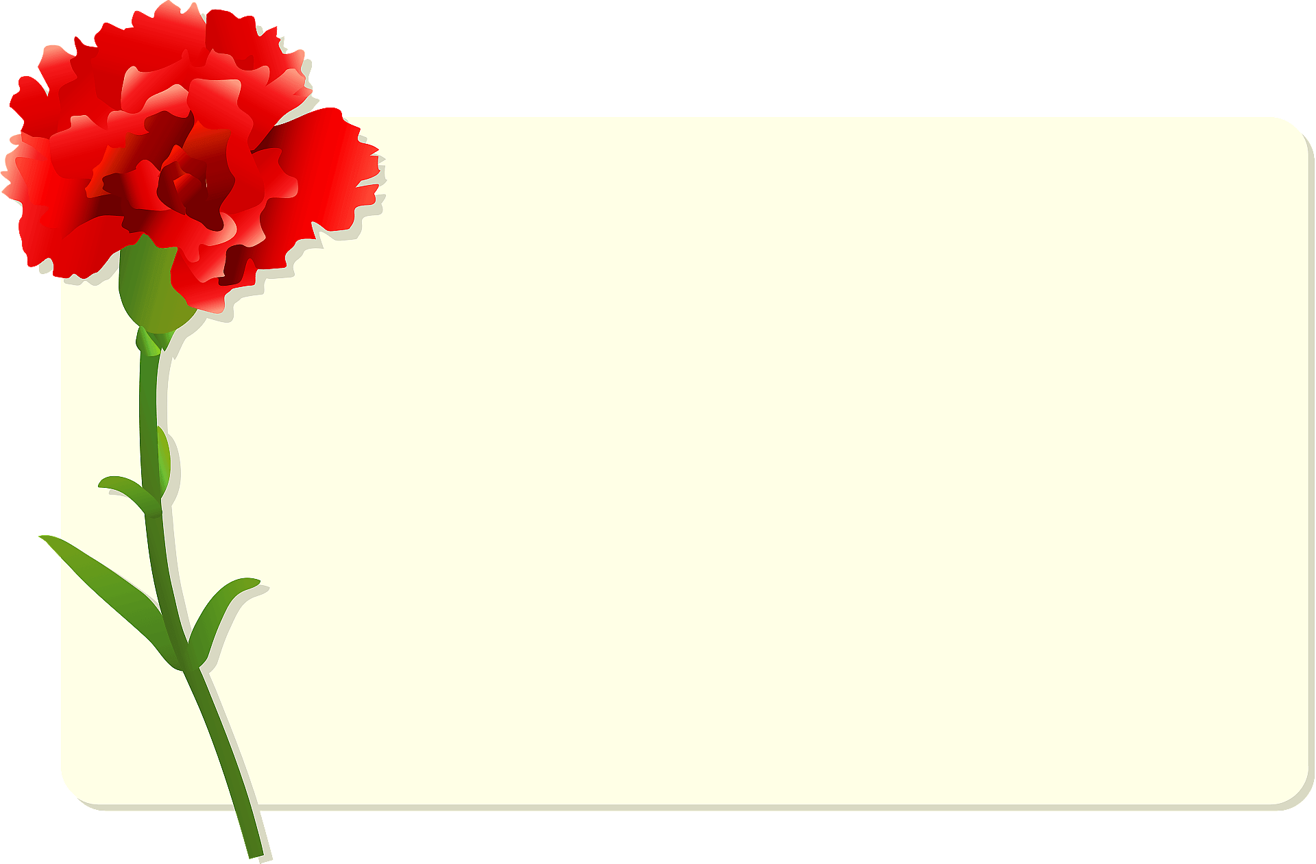 Carnation Clipart Full Size Clipart (5624336) PinClipart