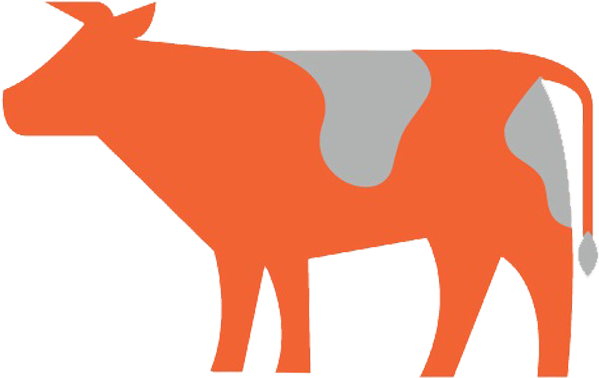 Aufzucht - Dairy Cow Clipart (776x796), Png Download