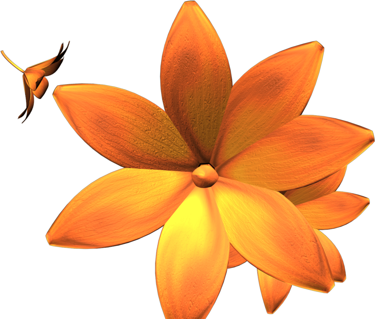 Bromelia Clipart (1920x1080), Png Download