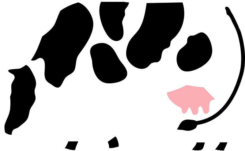 Cow Clipart - Png Download (800x493), Png Download