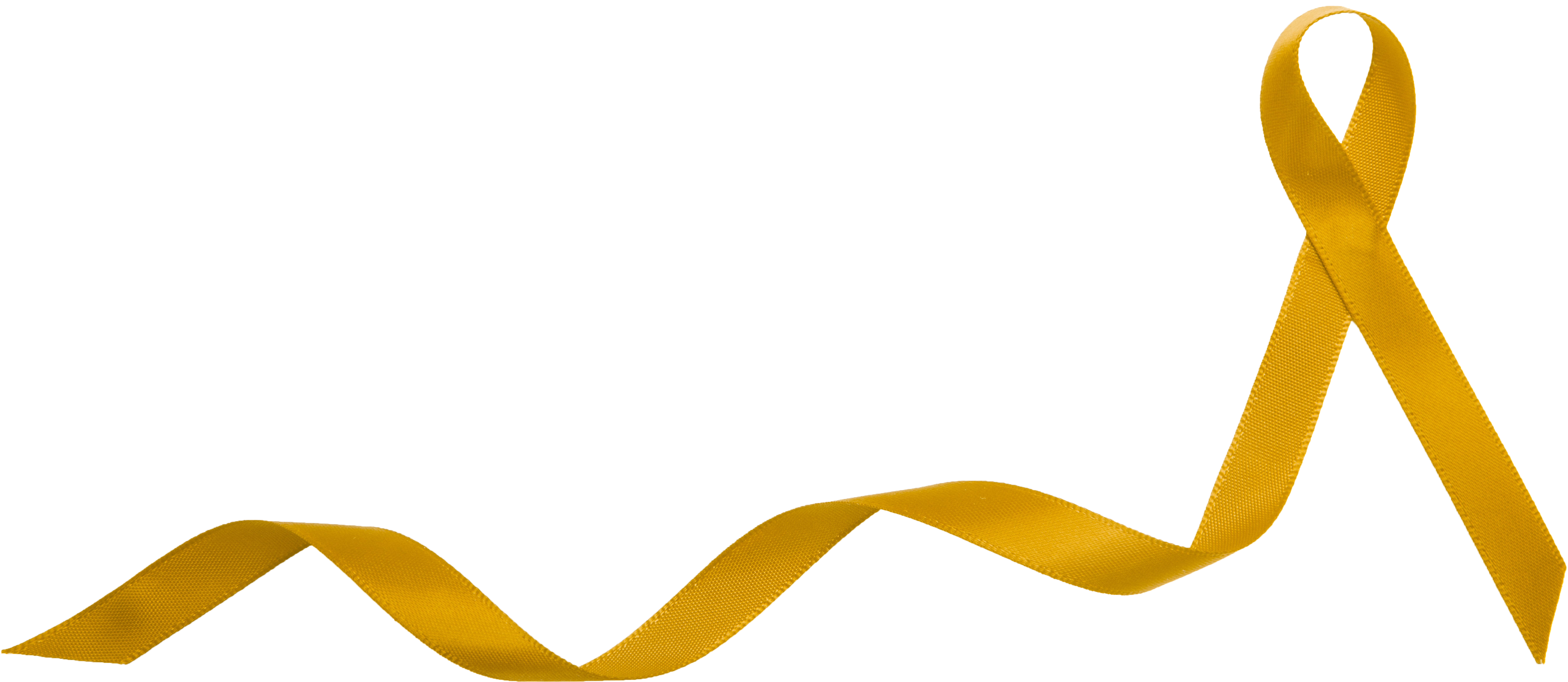 Transparent Childhood Cancer Awareness Ribbon Clipart - Cancer Golden Ribbon Png (5347x2327), Png Download
