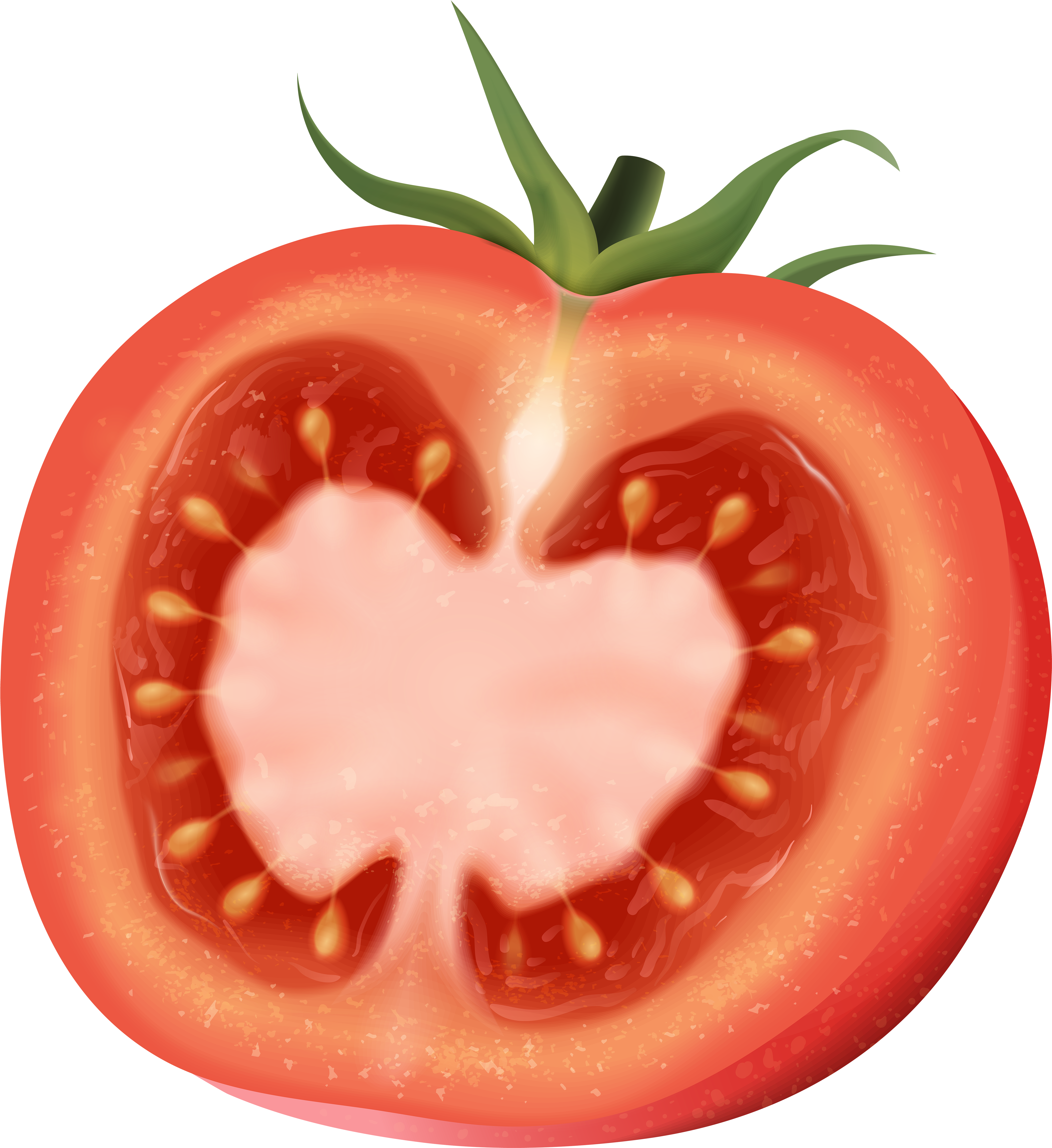 Transparent Tomato Clipart - Clipart Tomato - Png Download (5308x5790), Png Download