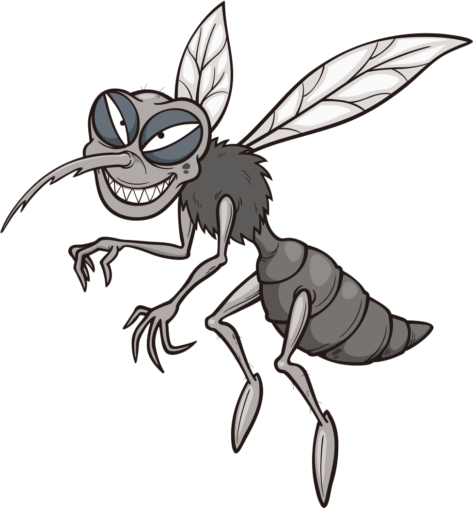 Mosquito Drawing Cartoon Clipart (1100x1100), Png Download