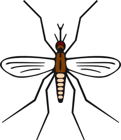 Mosquito Clip Net - Mosquito Black And White Clipart - Png Download (516x596), Png Download
