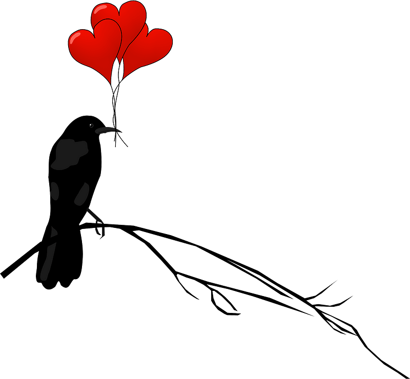 Raven With Balloons Clipart - Valentines Day And Raven - Png Download (800x740), Png Download