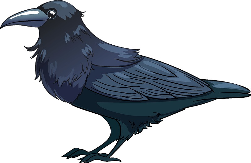 Raven Clipart - American Crow - Png Download (800x522), Png Download