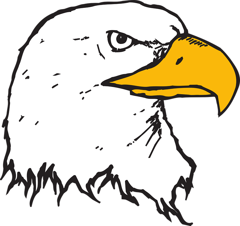 Eagle Beak Clipart - Png Download (766x720), Png Download