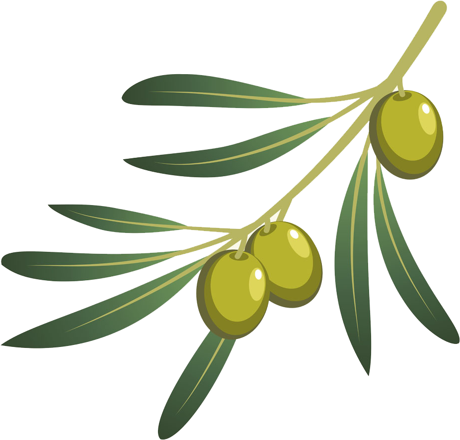 Olive Oil Olive Branch - Png Olives Clipart (1000x1000), Png Download