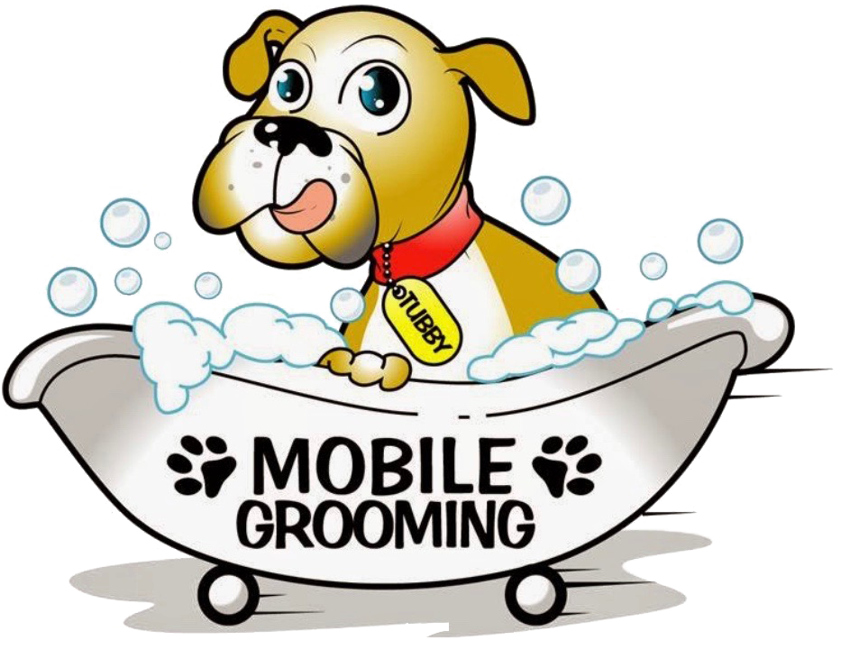 Clip Art - Png Download (943x720), Png Download