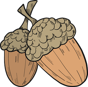 Acorns Clipart - Png Download (300x299), Png Download