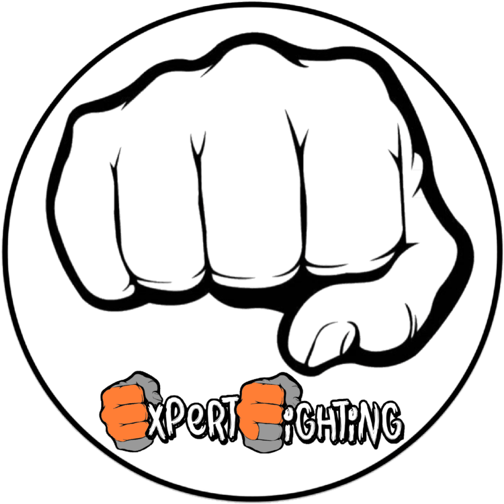 Logo Expert Fighting 1 Expert Fighting - Boom Clipart (1024x1024), Png Download
