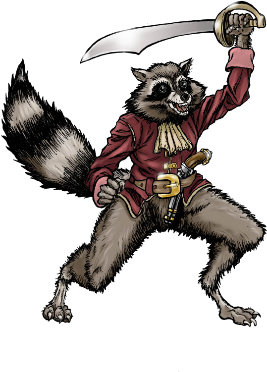 Pirate Racoon Png Clipart (612x827), Png Download
