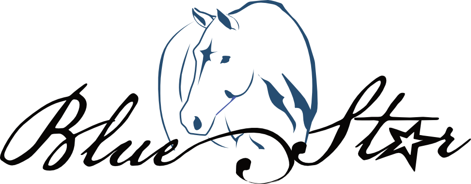 Blue Star Stable Clipart (972x380), Png Download
