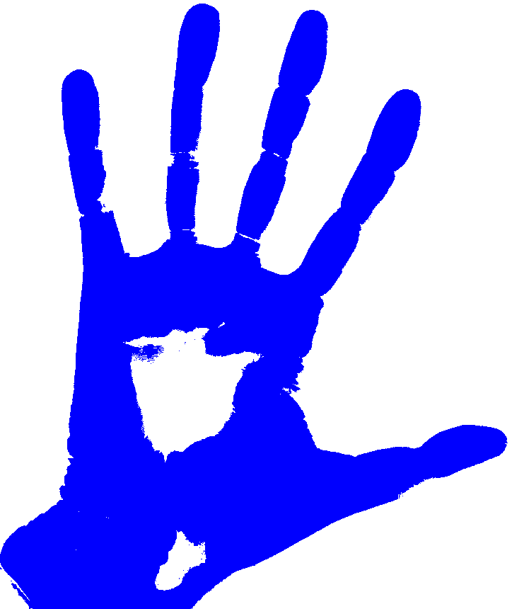 Blue Left Hand - Left Handed Png Clipart (724x860), Png Download