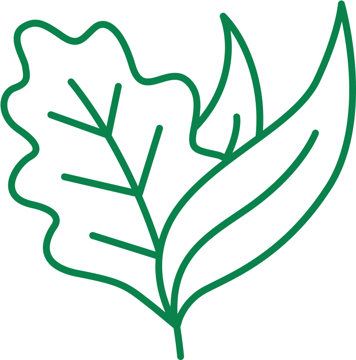 Canteen Clipart - Png Download (900x900), Png Download