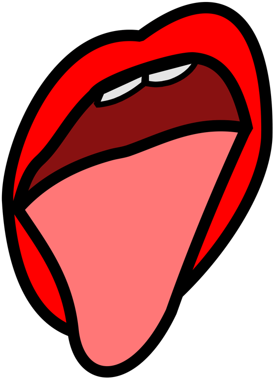 Picture Clipart (800x800), Png Download