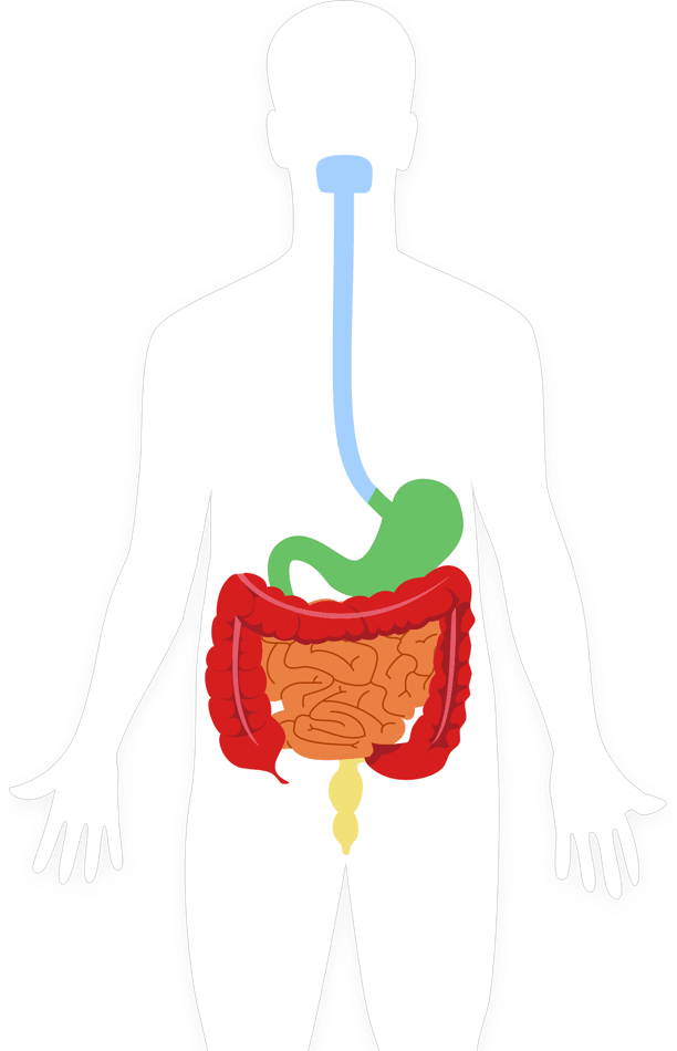 Mygihealth Learning Center Clipart (612x950), Png Download