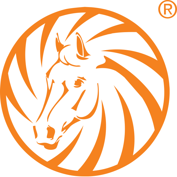 White Horse Clipart (600x600), Png Download