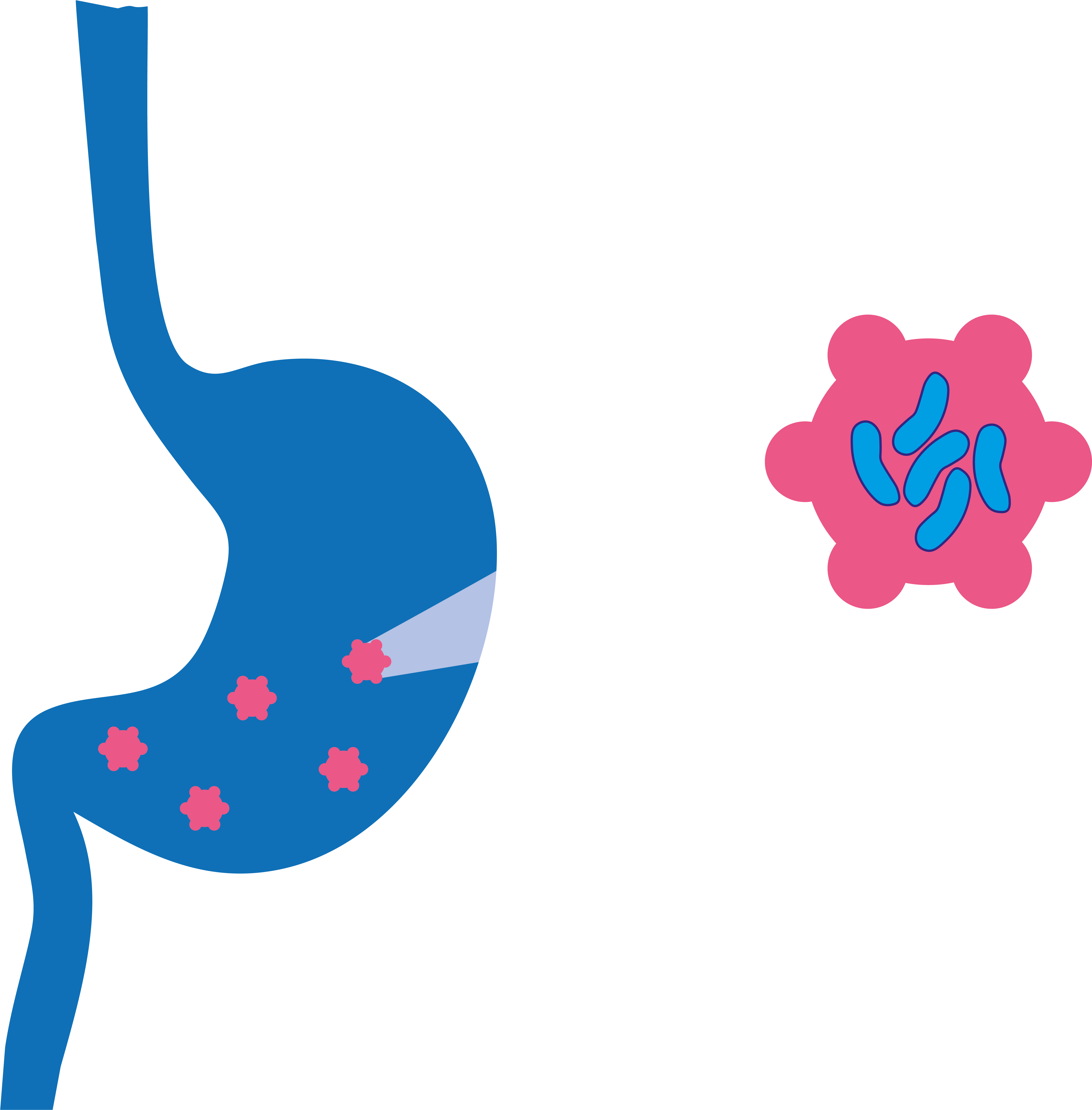 Stomach Clip Art - Png Download (8334x8334), Png Download