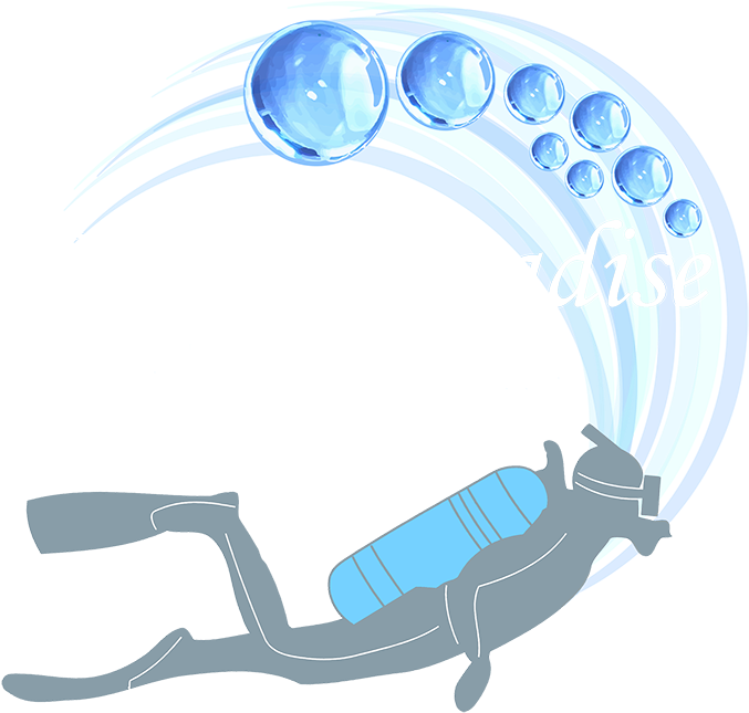 Scuba Diver Clipart (800x655), Png Download
