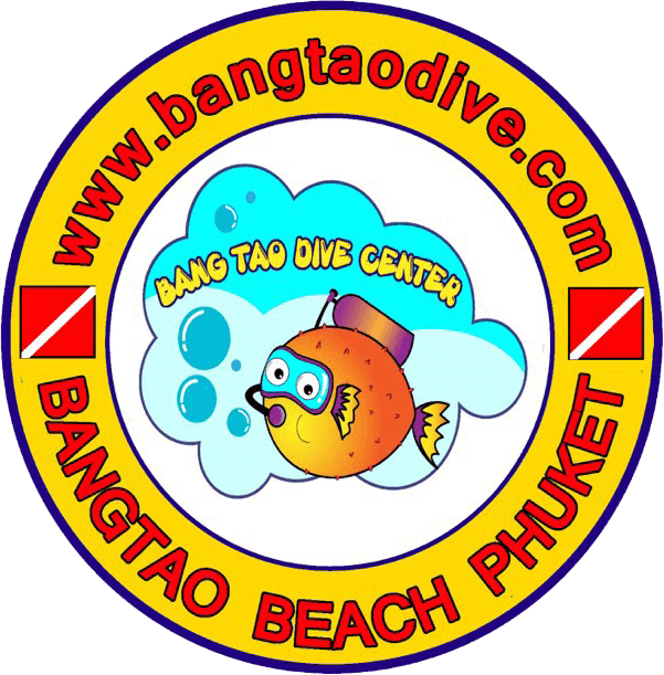 Bangtao Dive Center - Circle Clipart (601x611), Png Download