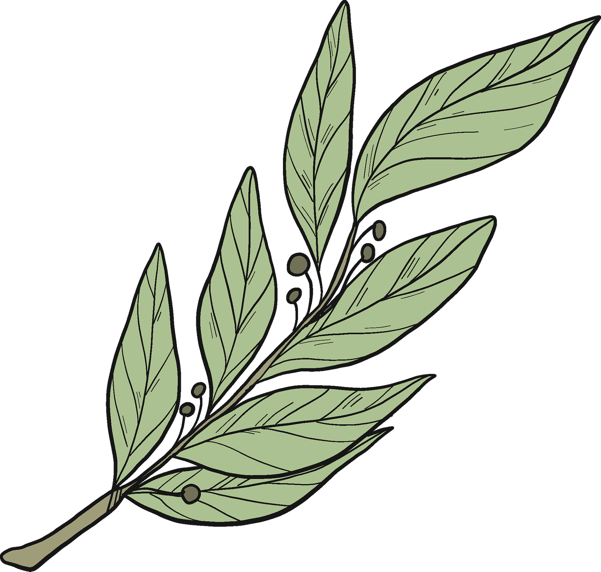 Flower Clipart (1920x1828), Png Download