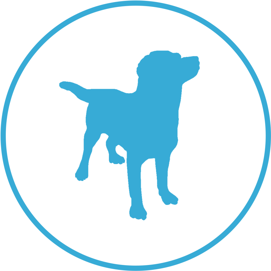 Dog Paws Shelter Of Central Texas Animal Shelter Pet - Dog Silhouette Clipart (2048x2048), Png Download