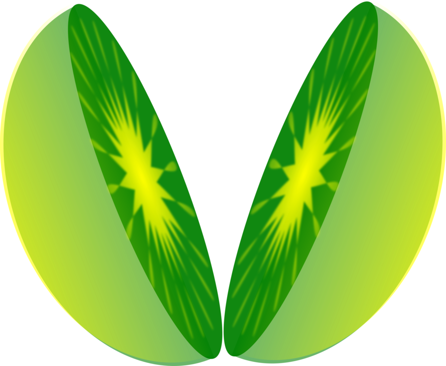 Plant,grass,leaf - Clipart Half - Png Download (913x750), Png Download